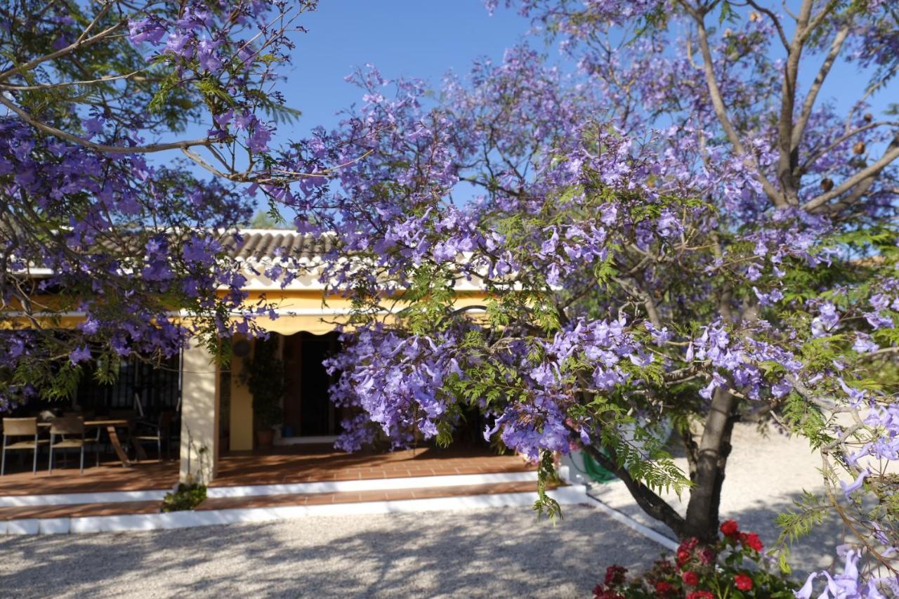 Finca Gordo Ríogordo Exterior foto
